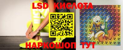 скорость Заводоуковск