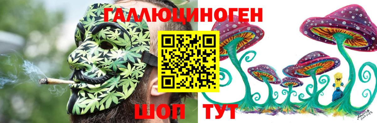Галлюциногенные грибы MAGIC MUSHROOMS  Вход с VPN  Псилоцибиновые грибы Psilocybine cubensis  Костомукша 