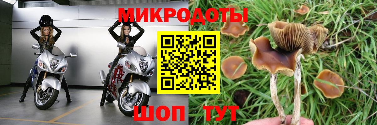 Псилоцибиновые грибы MAGIC MUSHROOMS Костомукша